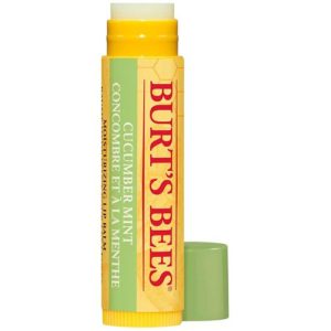 Burt’s Bees Cucumber Mint Lip Balm