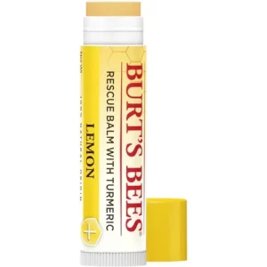 Burt's Bees Blueberry & Dark Chocolate Lip Balm