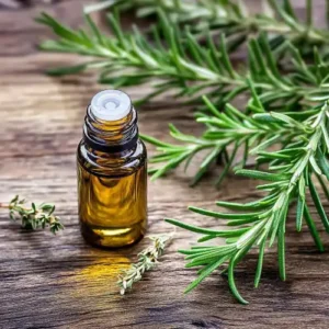 Rosemary Essential Oil Benefits & Uses | Zoom Health UK